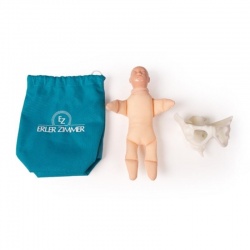 Erler Zimmer Mini Pelvis and Baby Model Birthing Simulator Kit